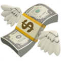 Money with wings